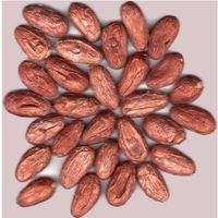 Cacao 914 33 123 04