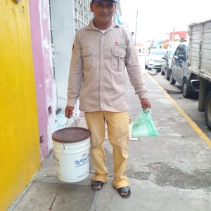 Chayote, Castañas, Pepinos y Frijol Tierno