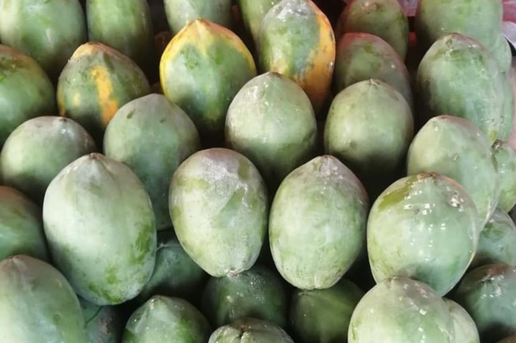 PAPAYA FRUTA