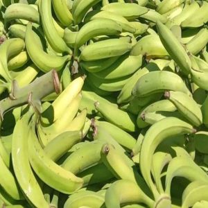 Agromer Mercadofacil