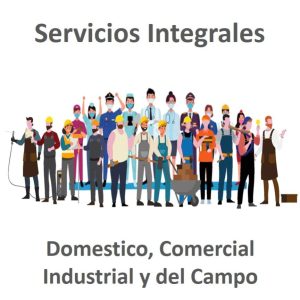 Servicios Integrales Mercadofacil